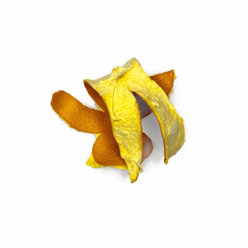 Orangenpenismänner — Bilddokumentation
