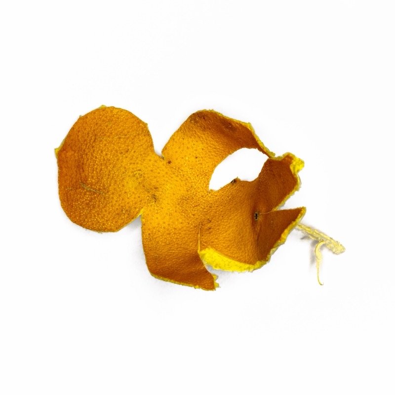 Orangenpenismänner — Bilddokumentation