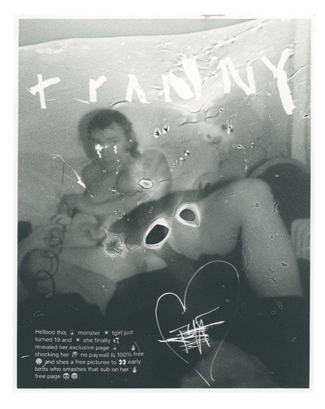 tranny — Bilddokumentation